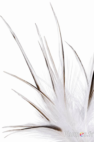 Reiher - 13-16 cm - naturweiss-creme-grau